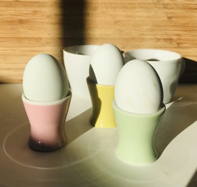 weiße, hellgrüne und leicht bläuliche Eier in farbigen Eierbechern