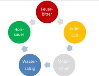 5 elemente in der reihenfolge des fütterungszyklus